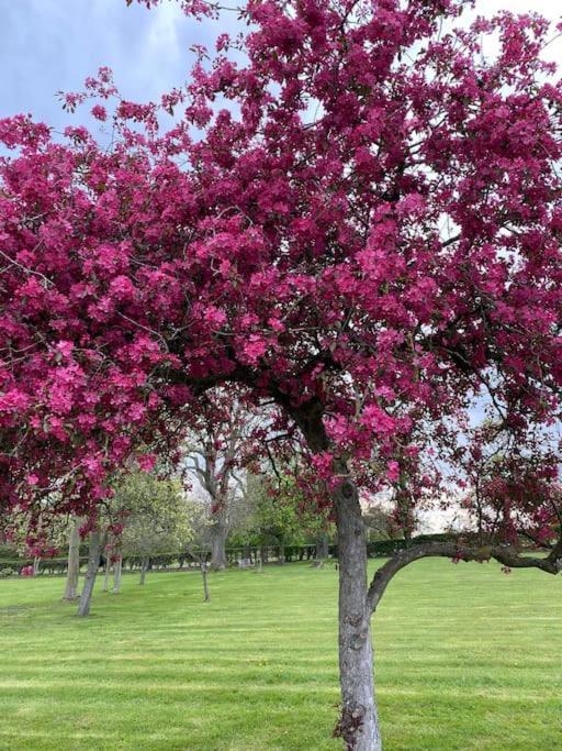 South Cottage - Garden, Views, Parking, Dogs, Cheshire, Walks, Family Adlington Extérieur photo