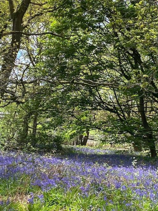 South Cottage - Garden, Views, Parking, Dogs, Cheshire, Walks, Family Adlington Extérieur photo